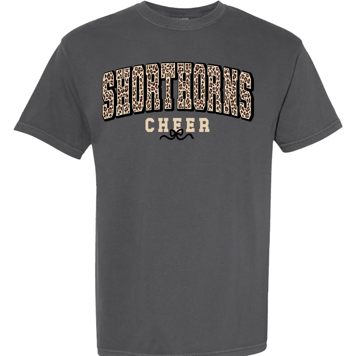 HFMS Cheer Cheetah - Required